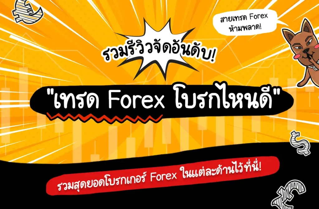 เทรด Forex โบรกไหนดี รวมจัดอันดับโบรกเกอร์ เทรด Forex โบรกไหนดี 2025 รวมจัดอันดับโบรกเกอร์