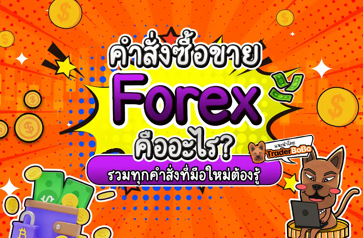 คำสั่งซื้อขาย Forex คืออะไร