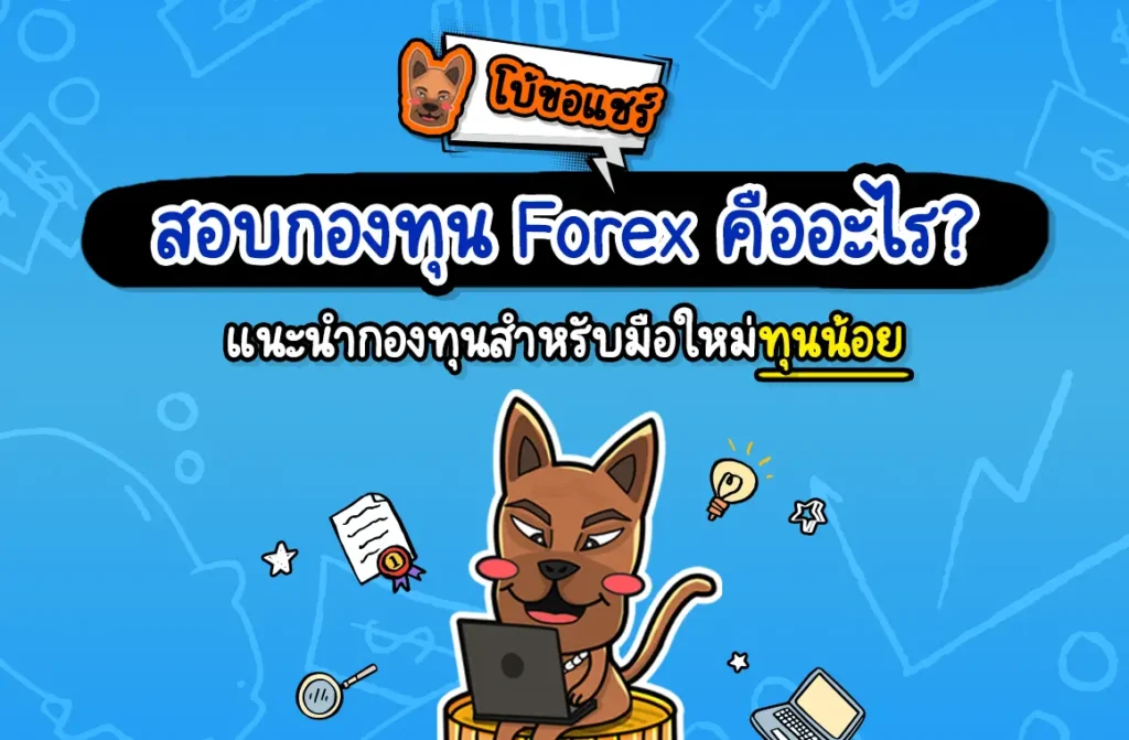 สอบกองทุน Forex คืออะไร สอบกองทุน Forex คืออะไร