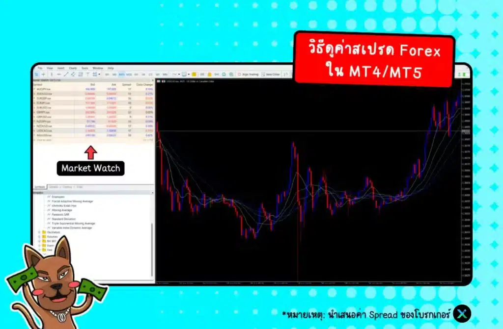 วิธีดูค่าสเปรด Forex ใน MT4/MT5 วิธีดูค่าสเปรด Forex ใน MT4/MT5
