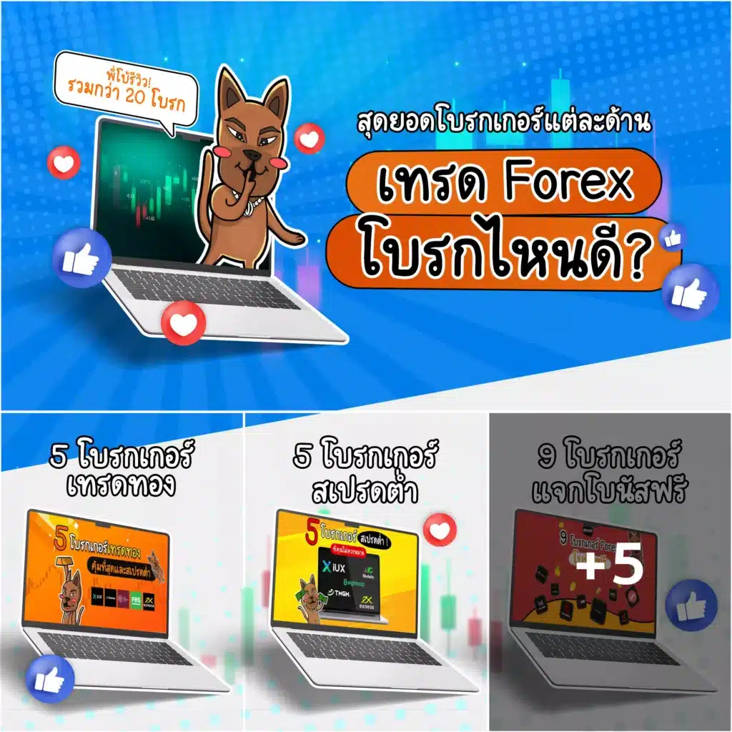 Includes-Forex-broker-reviews รวมรีวิวเทรด Forex โบรกไหนดี