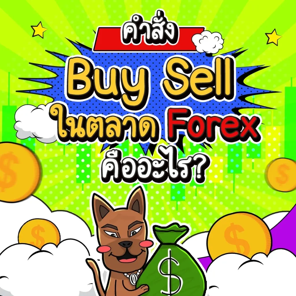 คำสั่ง Buy Sell ในตลาด Forex คืออะไร คำสั่ง Buy Sell ในตลาด Forex คืออะไร