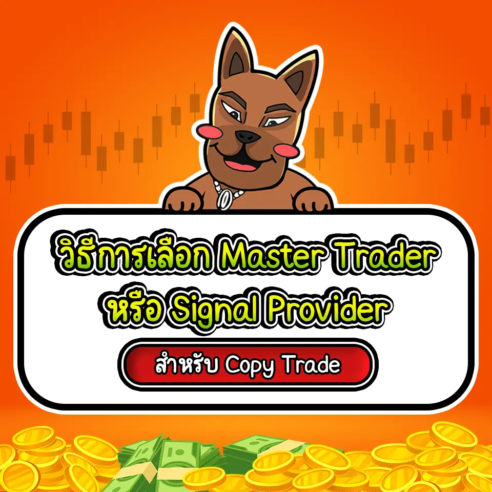 วิธีเลือก Master Trader และ Signal Provider
