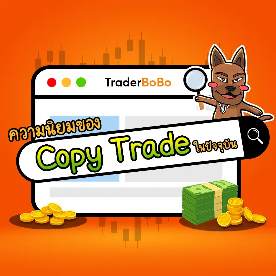 ความนิยมของการ Copy Trade ในปัจจุบัน