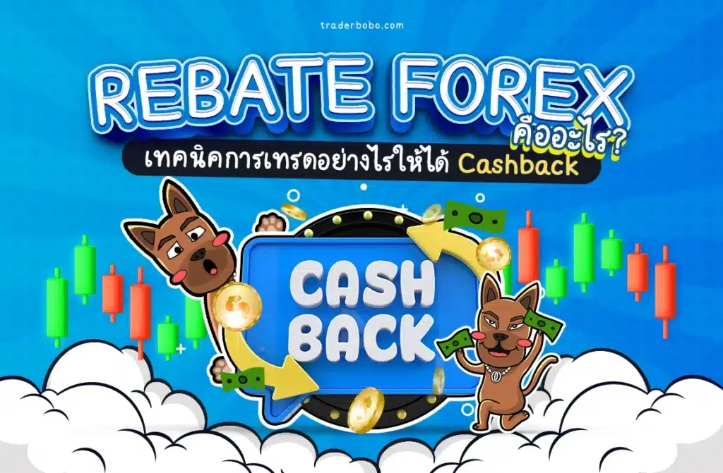 Rebate Forex คืออะไร Rebate Forex คืออะไร