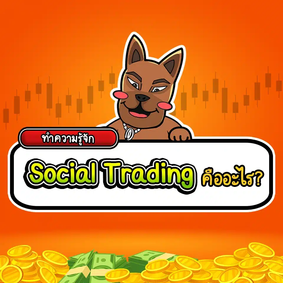 Social Trading คืออะไร