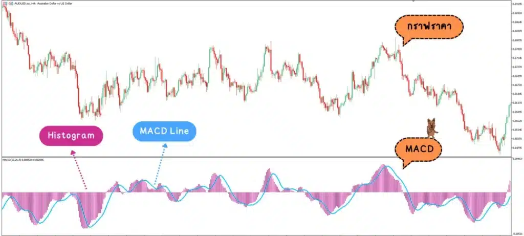 อินดิเคเตอร์ Forex : MACD อินดิเคเตอร์ Forex : MACD