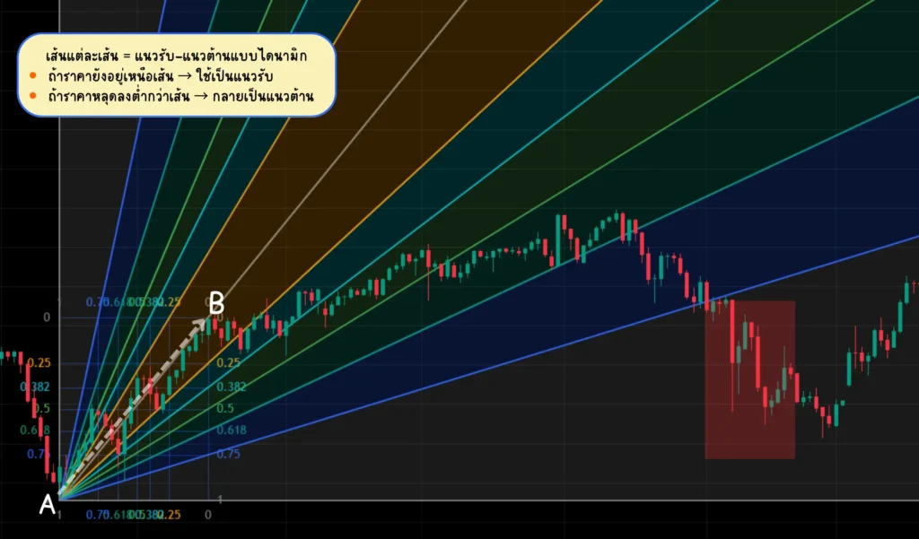 Fibonacci Fan ใช้ยังไง