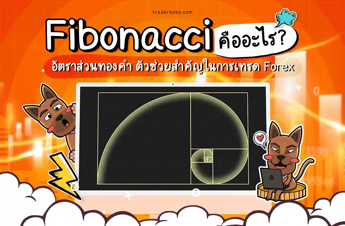 ฟีโบนักชี (Fibonacci) คืออะไร