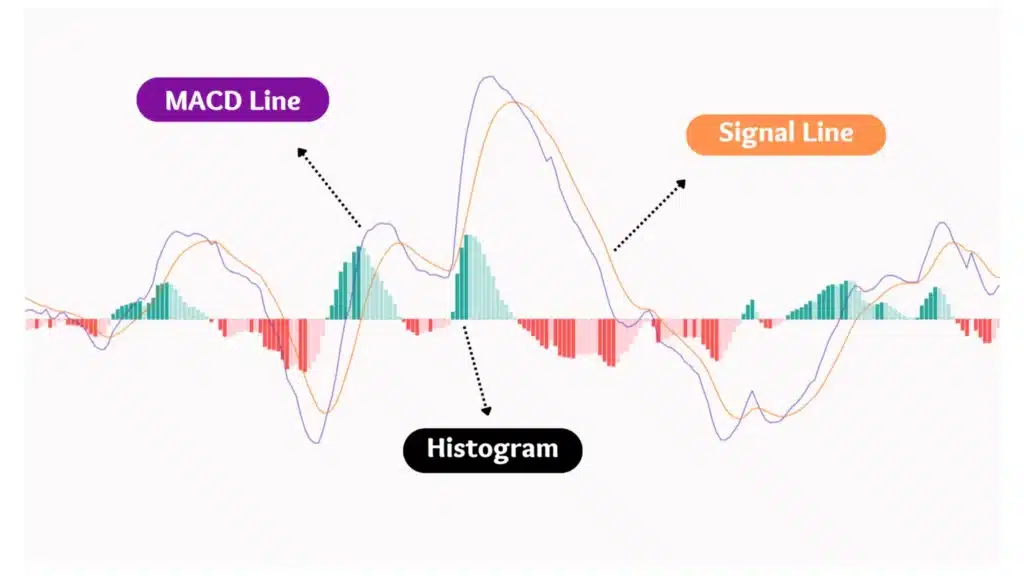 ส่วนประกอบของ MACD Indicator